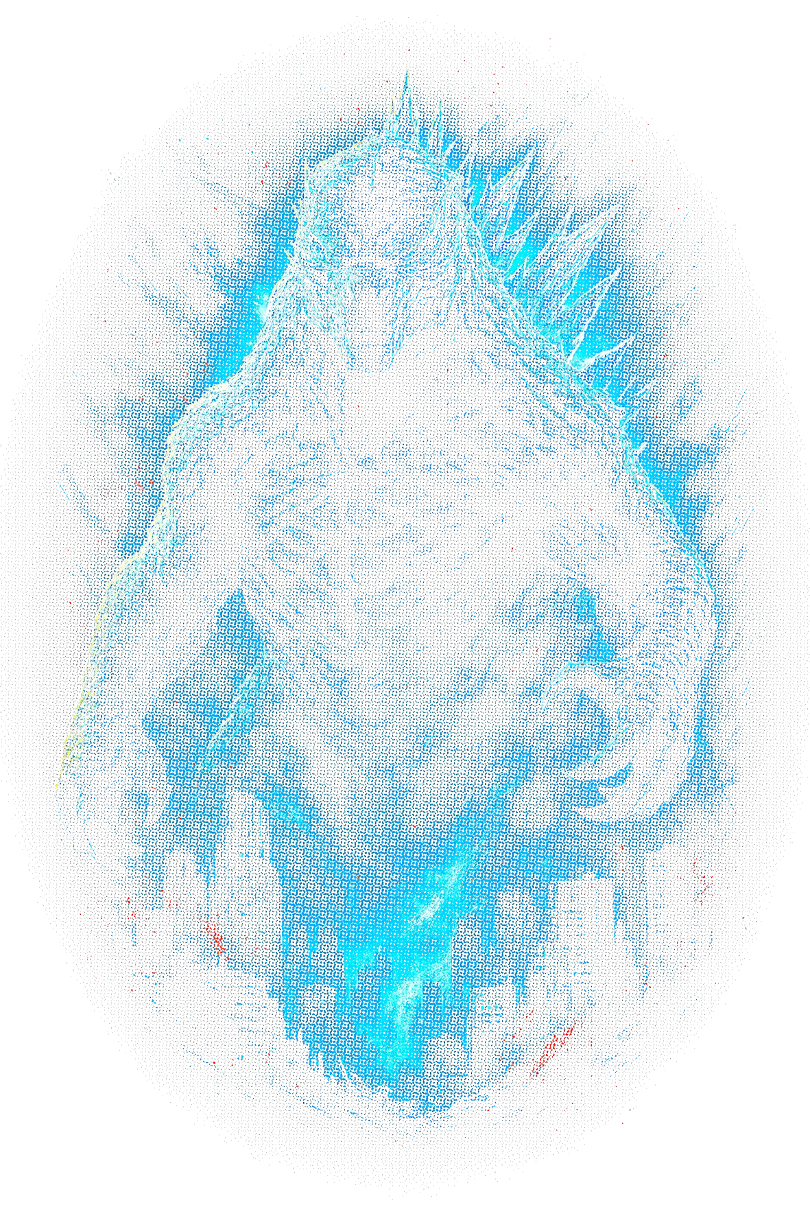 Movies design 79